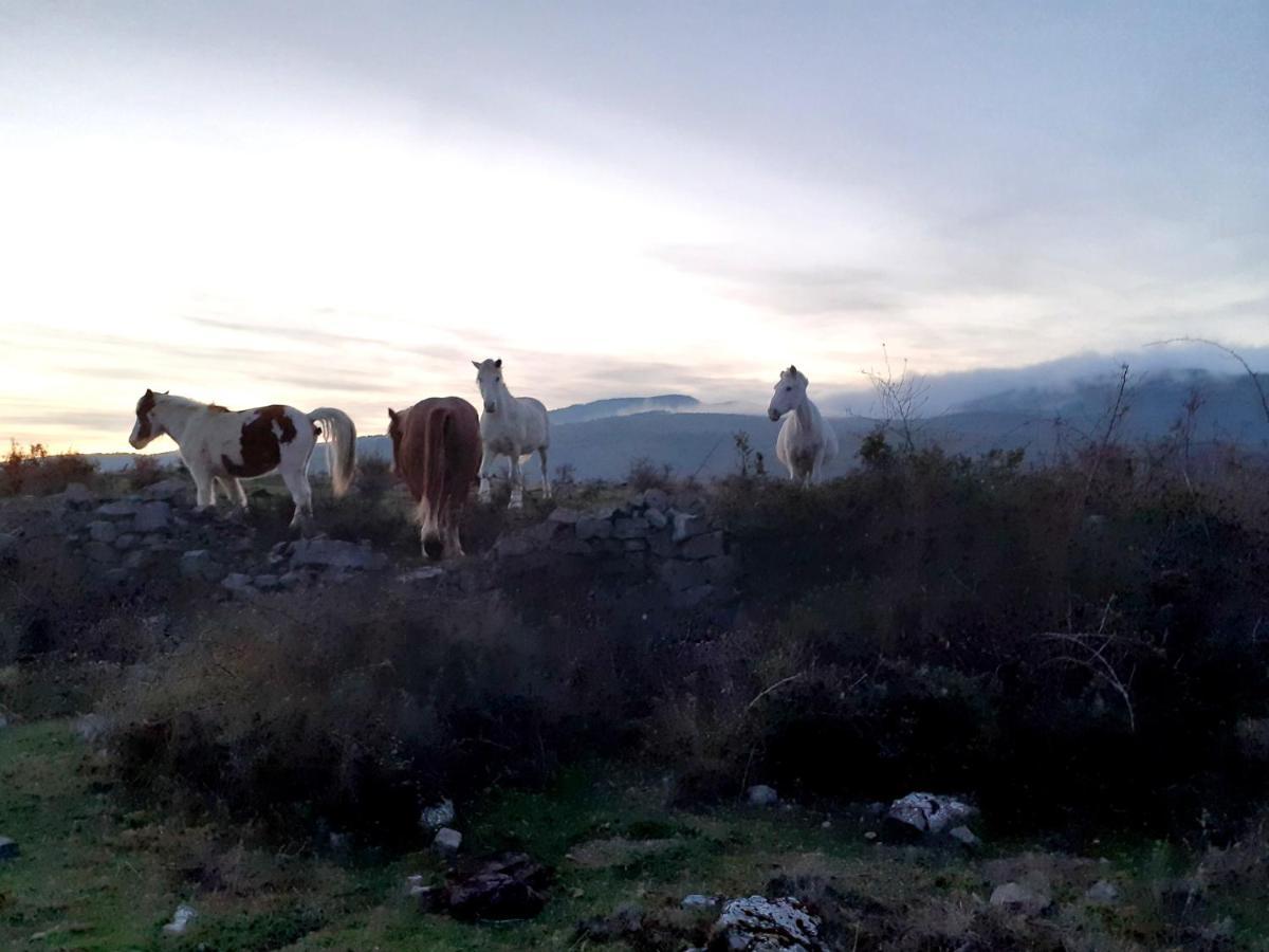 Soto en Cameros Casasdetrevijano Mirador De Mateoヴィラ エクステリア 写真