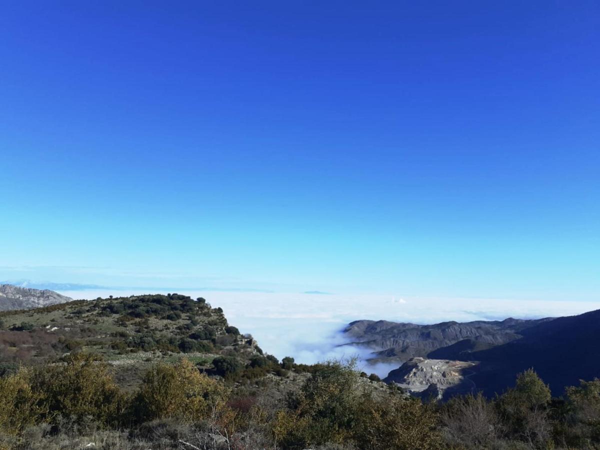 Soto en Cameros Casasdetrevijano Mirador De Mateoヴィラ エクステリア 写真